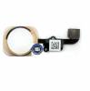 iPhone 6 Home button with ring and flex complete in Gold (Bulk)